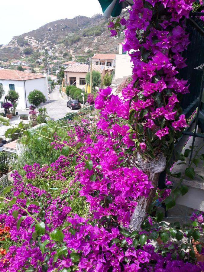 Casa Armida Holiday home *
